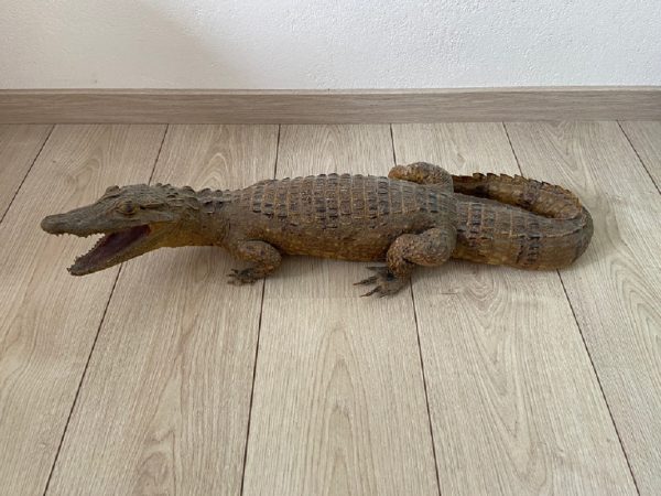 Krokodil